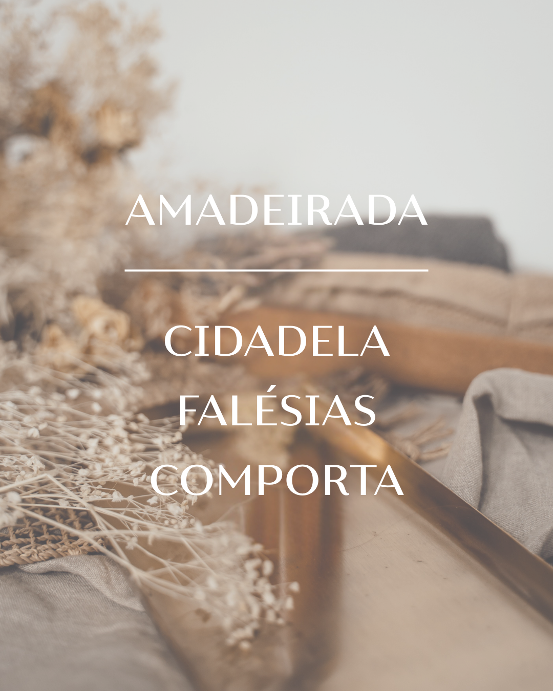 Kit Coleção Amadeirada