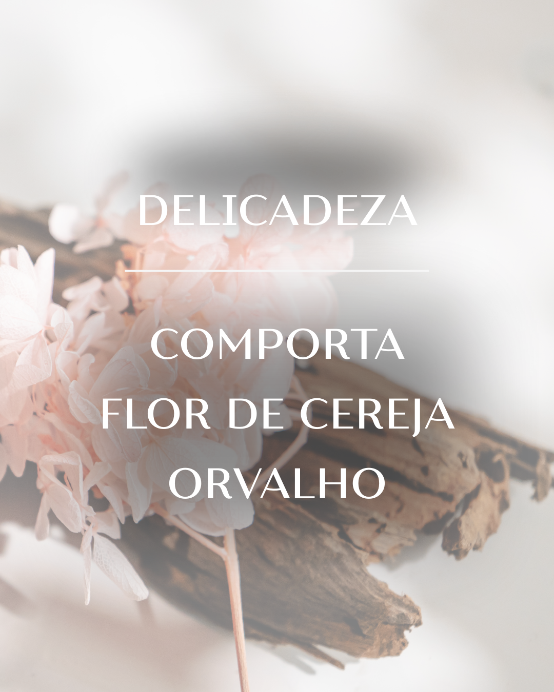 Kit Delicadeza
