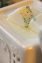 Cera Perfumada Xmas Tree 80g | Christmas Collection